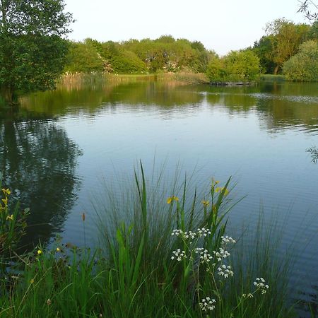 Bed and Breakfast The Grange East Barkwith Esterno foto